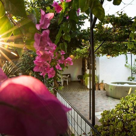 Villa Agia Paraskevi イアリソス エクステリア 写真