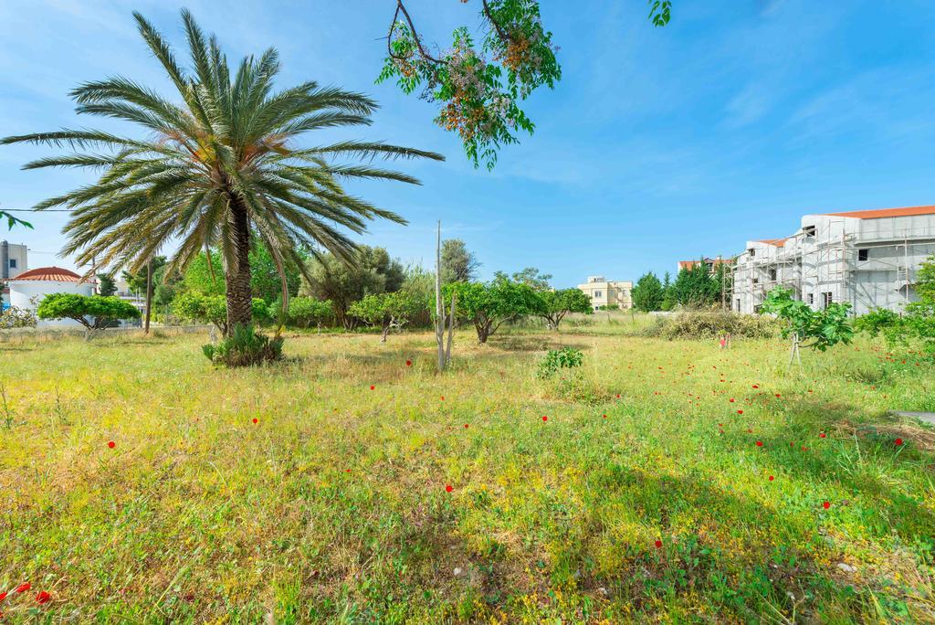 Villa Agia Paraskevi イアリソス エクステリア 写真